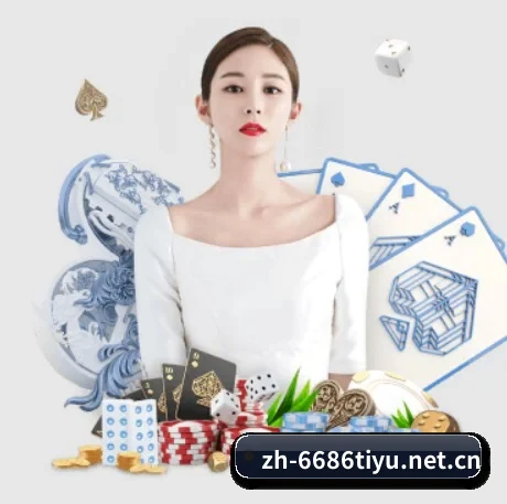 6686体育 APP